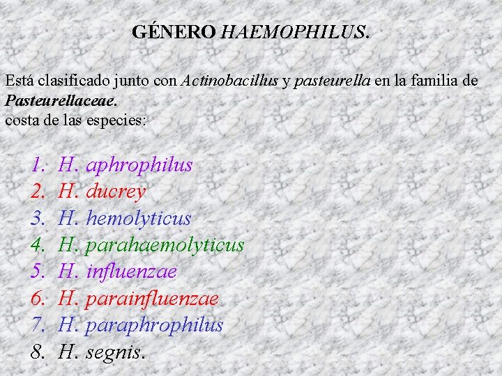 GÉNERO HAEMOPHILUS. Está clasificado junto con Actinobacillus y pasteurella en la familia de Pasteurellaceae.