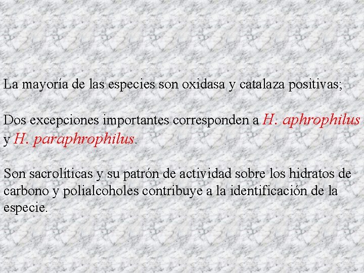 La mayoría de las especies son oxidasa y catalaza positivas; Dos excepciones importantes corresponden