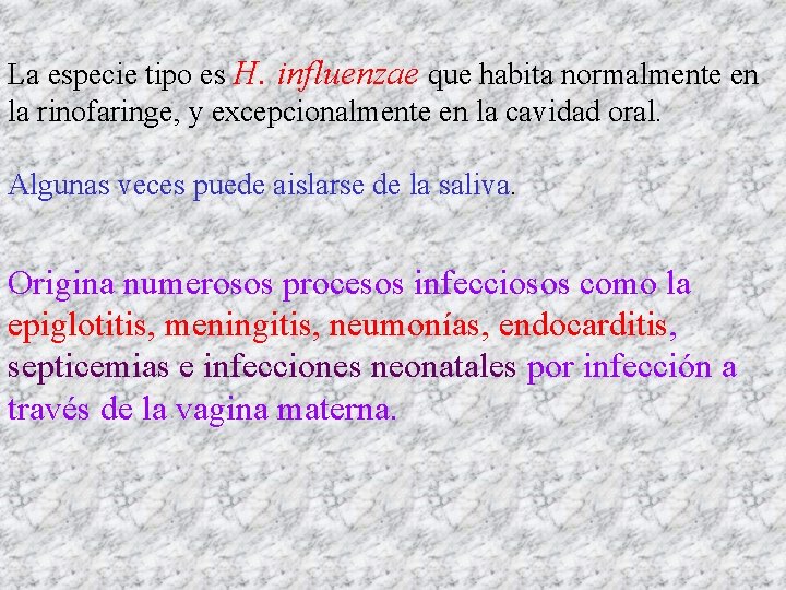 La especie tipo es H. influenzae que habita normalmente en la rinofaringe, y excepcionalmente