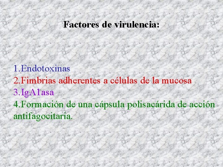 Factores de virulencia: 1. Endotoxinas 2. Fimbrias adherentes a células de la mucosa 3.