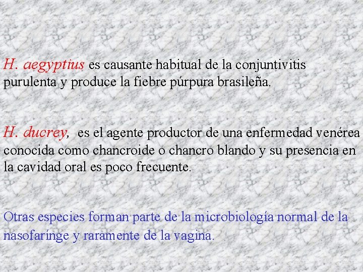 H. aegyptius es causante habitual de la conjuntivitis purulenta y produce la fiebre púrpura