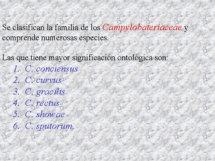 Se clasifican la familia de los Campylobateriaceae y comprende numerosas especies. Las que tiene
