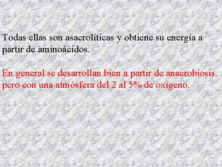 Todas ellas son asacrolíticas y obtiene su energía a partir de aminoácidos. En general