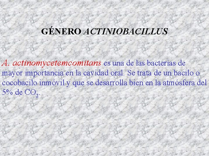 GÉNERO ACTINIOBACILLUS A. actinomycetemcomitans es una de las bacterias de mayor importancia en la