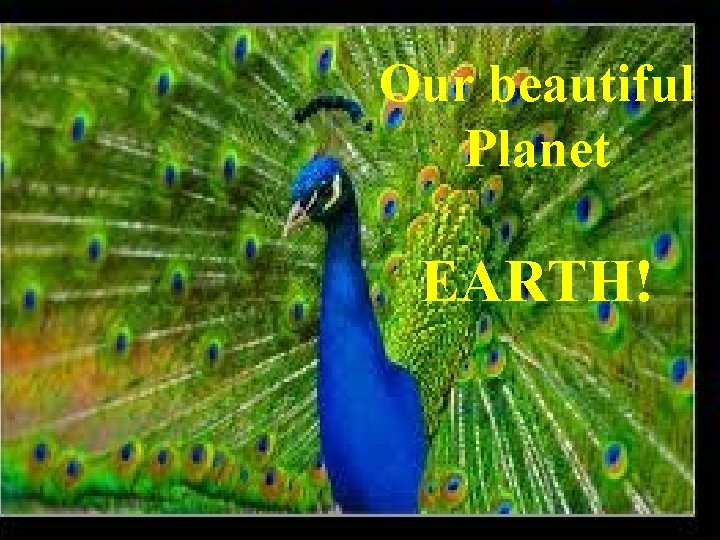 Our beautiful Planet EARTH! 