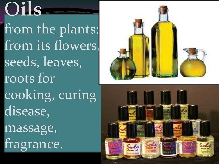 Oils from the plants: from its flowers, seeds, leaves, roots for cooking, curing disease,