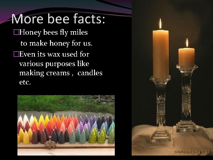 More bee facts: �Honey bees fly miles to make honey for us. �Even its