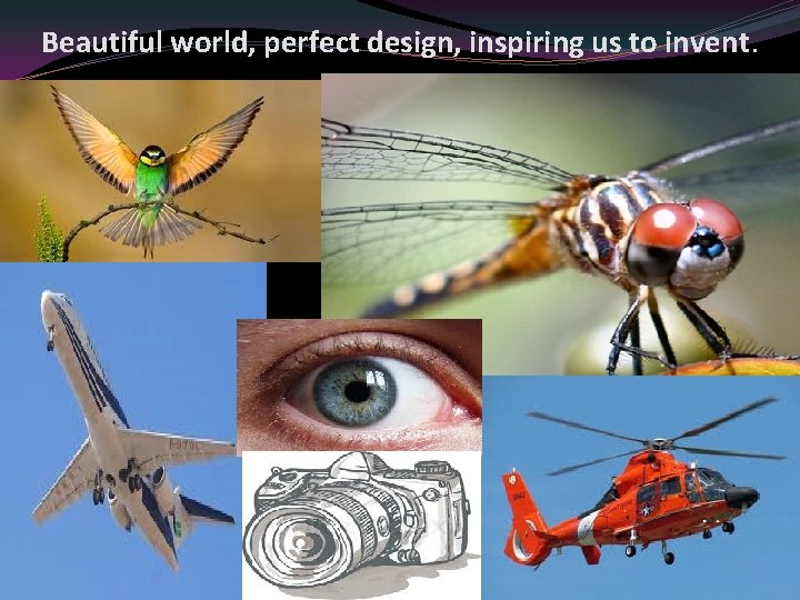 Beautiful world, perfect design, inspiring us to invent. 