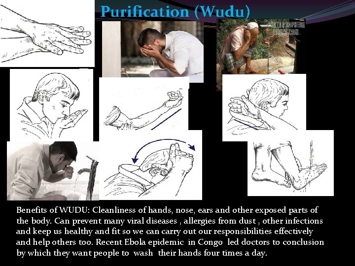 Purification (Wudu) Benefits of WUDU: Cleanliness of hands, nose, ears and other exposed parts