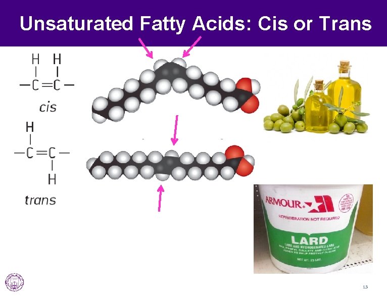 Unsaturated Fatty Acids: Cis or Trans 13 