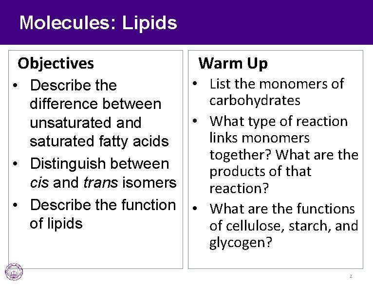 Molecules: Lipids Objectives Warm Up • List the monomers of • Describe the carbohydrates