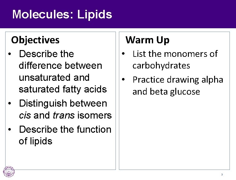 Molecules: Lipids Objectives Warm Up • List the monomers of • Describe the carbohydrates