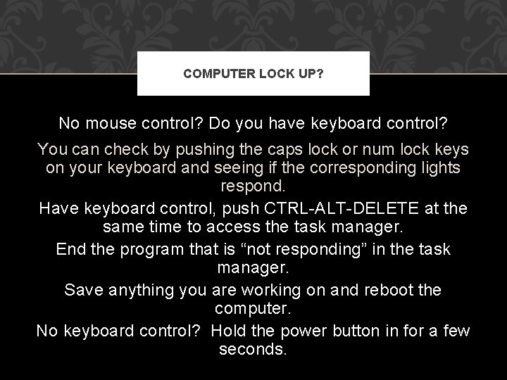 COMPUTER LOCK UP? No mouse control? Do you have keyboard control? You can check