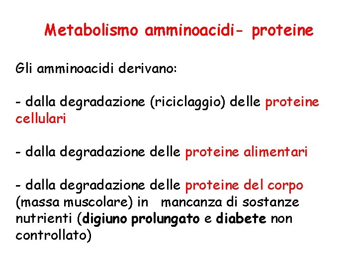 Metabolismo amminoacidi- proteine Gli amminoacidi derivano: - dalla degradazione (riciclaggio) delle proteine cellulari -