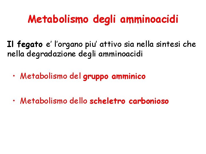 Metabolismo degli amminoacidi Il fegato e’ l’organo piu’ attivo sia nella sintesi che nella