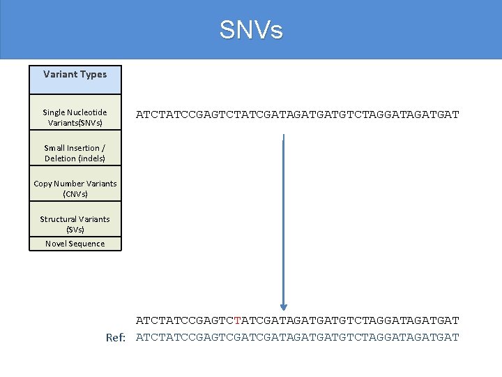 SNVs Variant Types Single Nucleotide Variants(SNVs) ATCTATCCGAGTCTATCGATAGATGATGTCTAGGATAGATGAT Small Insertion / Deletion (indels) Copy Number