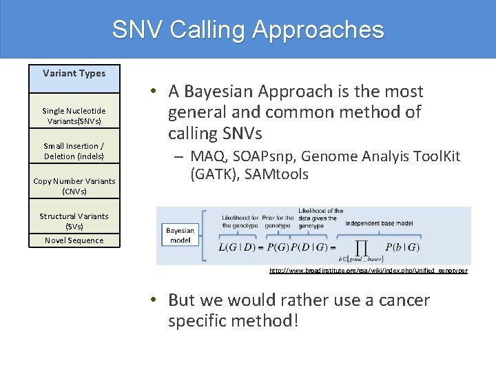 SNV Calling Approaches Variant Types Single Nucleotide Variants(SNVs) Small Insertion / Deletion (indels) Copy