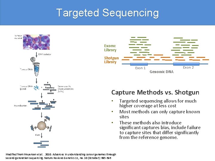 Targeted Sequencing Exome Library Shotgun Library Exon 1 Genomic DNA Exon 2 Capture Methods