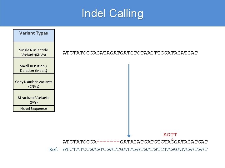 Indel Calling Variant Types Single Nucleotide Variants(SNVs) ATCTATCCGAGATGATGTCTAAGTTGGATAGATGAT Small Insertion / Deletion (indels) Copy