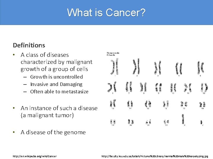 What is Cancer? Definitions • A class of diseases characterized by malignant growth of