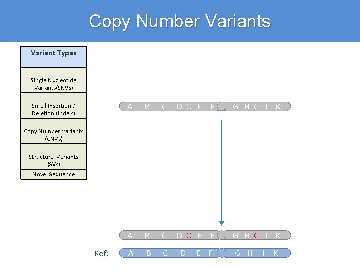 Copy Number Variants Variant Types Single Nucleotide Variants(SNVs) Small Insertion / Deletion (indels) A