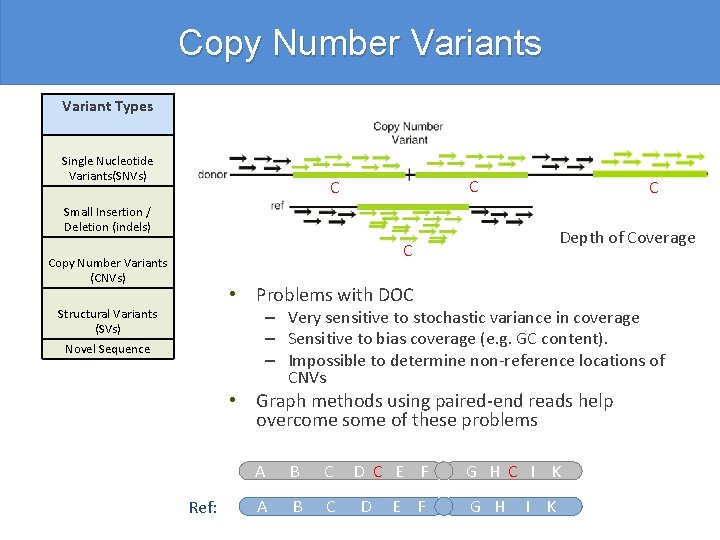 Copy Number Variants Variant Types Single Nucleotide Variants(SNVs) C C C Small Insertion /