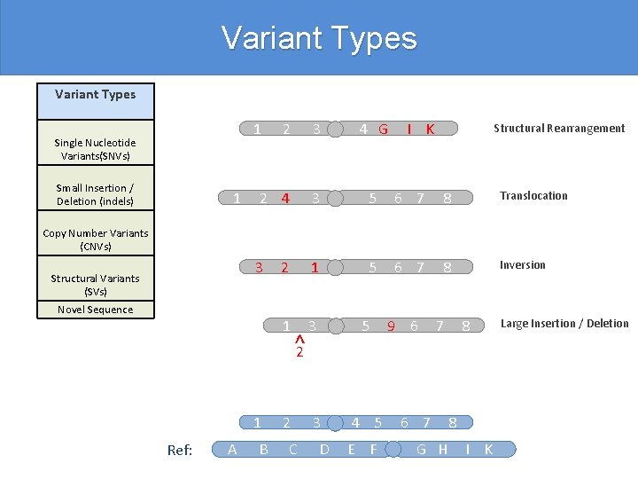 Variant Types 2 3 4 G 2 4 3 5 6 7 8 Translocation