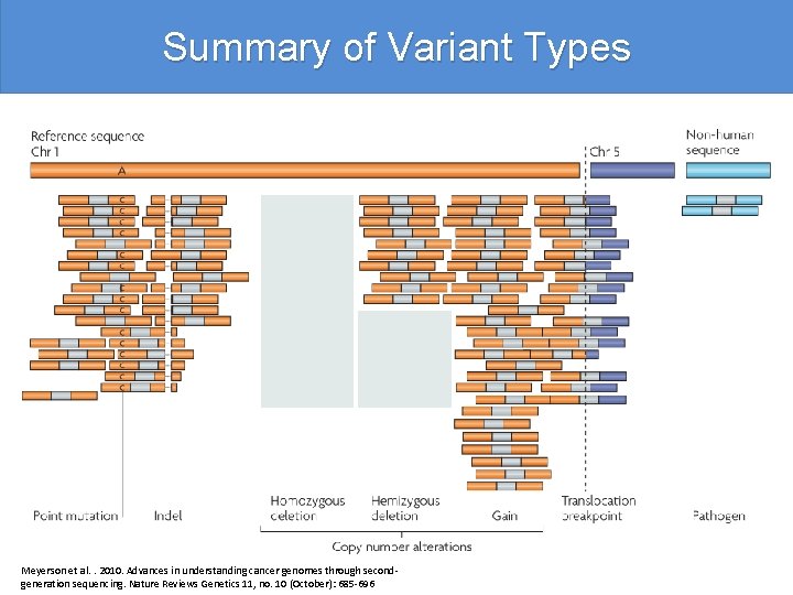 Summary of Variant Types Meyerson et al. . 2010. Advances in understanding cancer genomes