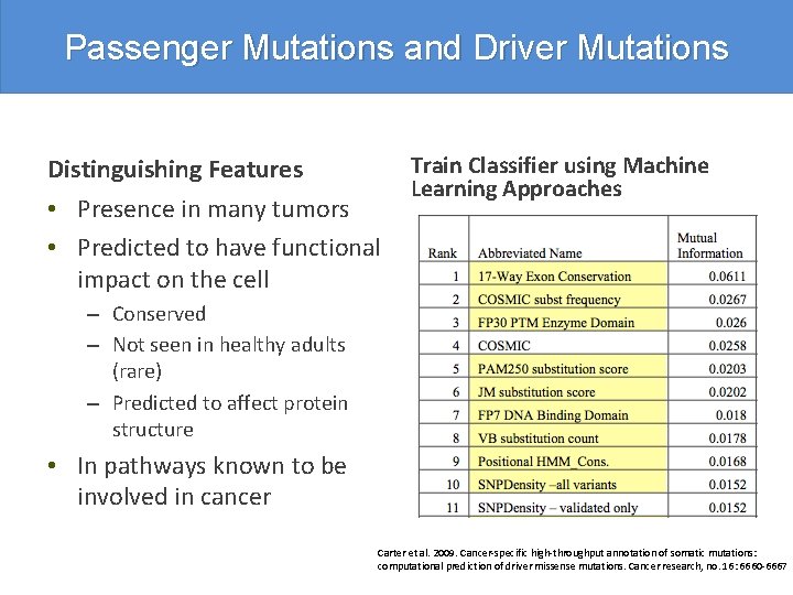 Passenger Mutations and Driver Mutations Distinguishing Features • Presence in many tumors • Predicted