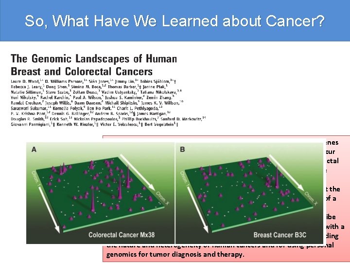 So, What Have We Learned about Cancer? Human cancer is caused by the accumulation