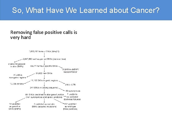 So, What Have We Learned about Cancer? Removing false positive calls is very hard