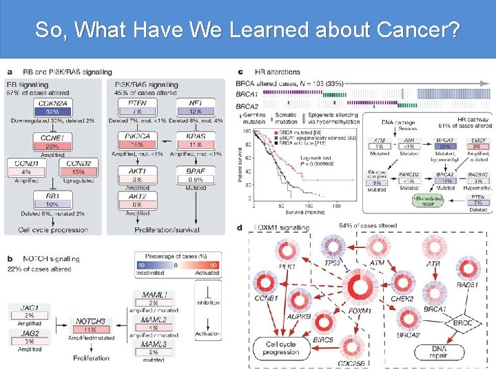 So, What Have We Learned about Cancer? Integrated genomic analyses of ovarian carcinoma The