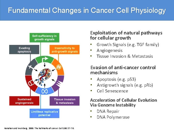 Fundamental Changes in Cancer Cell Physiology Exploitation of natural pathways for cellular growth •