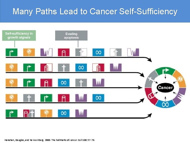 Many Paths Lead to Cancer Self-Sufficiency Hanahan, Douglas, and Ra Weinberg. 2000. The hallmarks