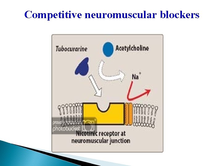 Competitive neuromuscular blockers 