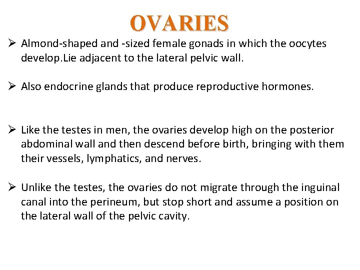 OVARIES Ø Almond-shaped and -sized female gonads in which the oocytes develop. Lie adjacent