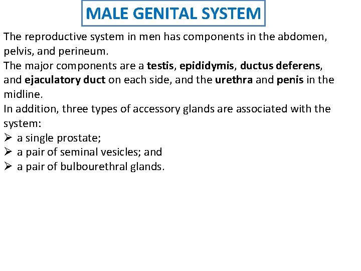 MALE GENITAL SYSTEM The reproductive system in men has components in the abdomen, pelvis,