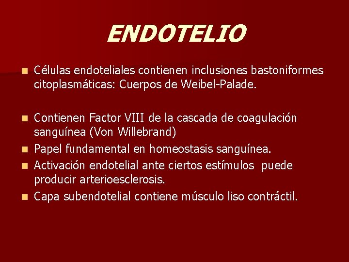 ENDOTELIO n Células endoteliales contienen inclusiones bastoniformes citoplasmáticas: Cuerpos de Weibel-Palade. Contienen Factor VIII