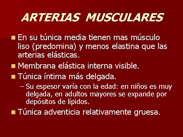 ARTERIAS MUSCULARES n En su túnica media tienen mas músculo liso (predomina) y menos