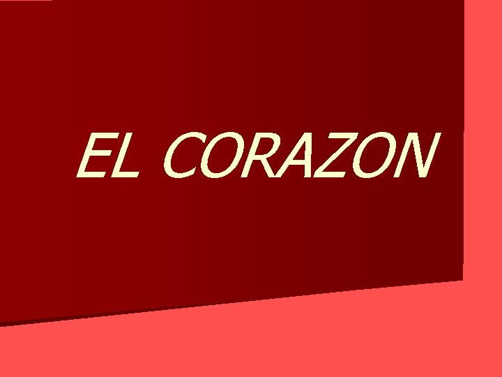 EL CORAZON 