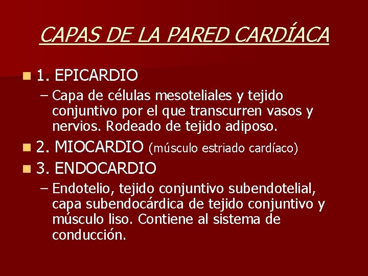 CAPAS DE LA PARED CARDÍACA n 1. EPICARDIO – Capa de células mesoteliales y