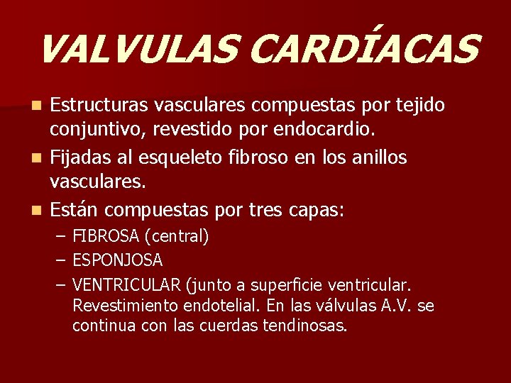 VALVULAS CARDÍACAS Estructuras vasculares compuestas por tejido conjuntivo, revestido por endocardio. n Fijadas al