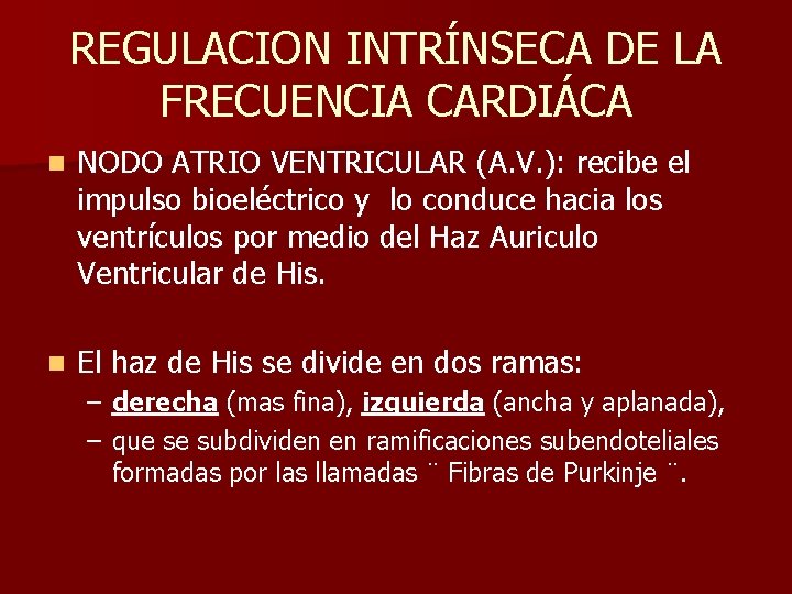 REGULACION INTRÍNSECA DE LA FRECUENCIA CARDIÁCA n NODO ATRIO VENTRICULAR (A. V. ): recibe