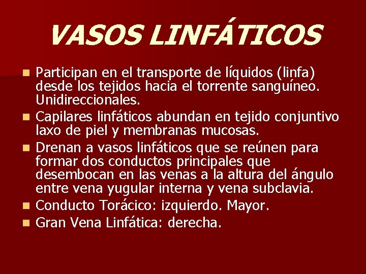 VASOS LINFÁTICOS n n n Participan en el transporte de líquidos (linfa) desde los