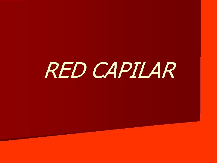 RED CAPILAR 