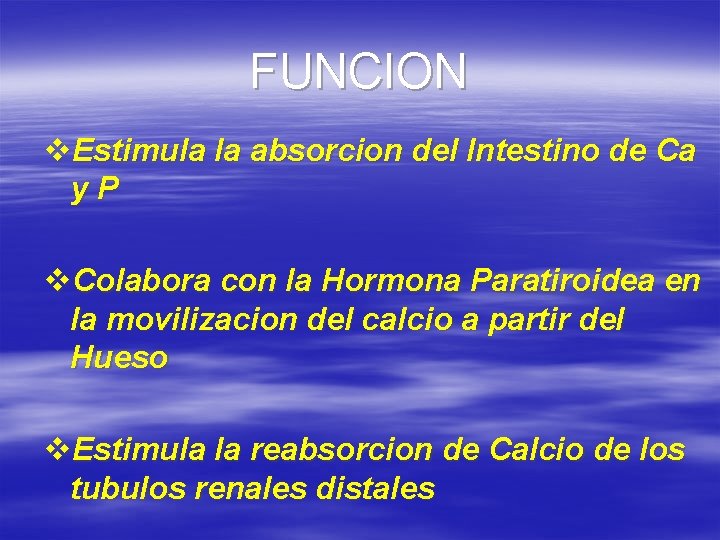 FUNCION v. Estimula la absorcion del Intestino de Ca y. P v. Colabora con