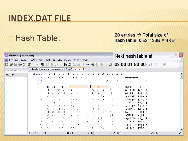 INDEX. DAT FILE � Hash Table: 20 entries Total size of hash table is