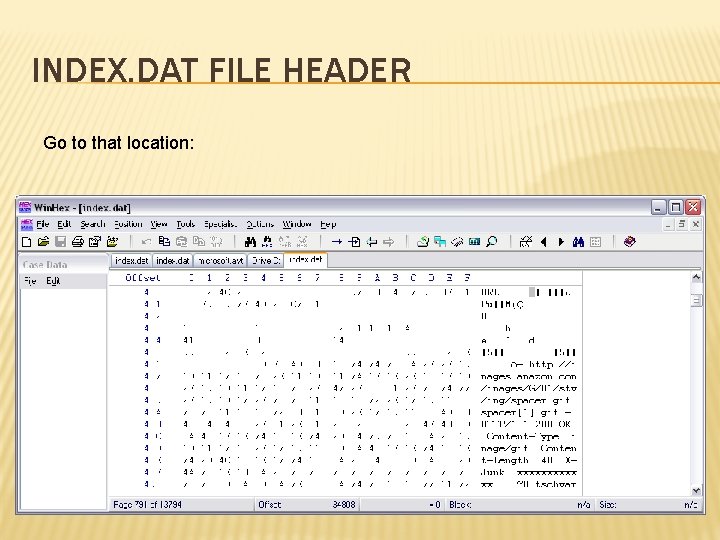 INDEX. DAT FILE HEADER Go to that location: 