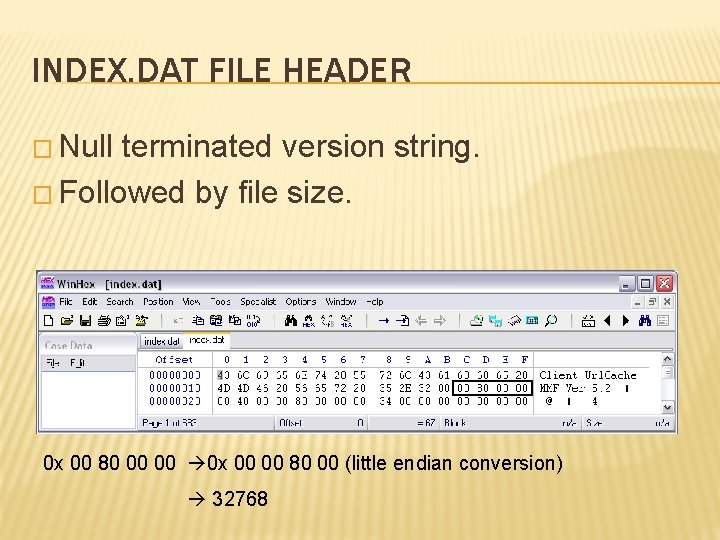 INDEX. DAT FILE HEADER � Null terminated version string. � Followed by file size.