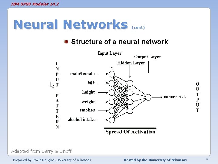 IBM SPSS Modeler 14. 2 Neural Networks (cont) Structure of a neural network Adapted
